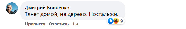 новости соцсетей